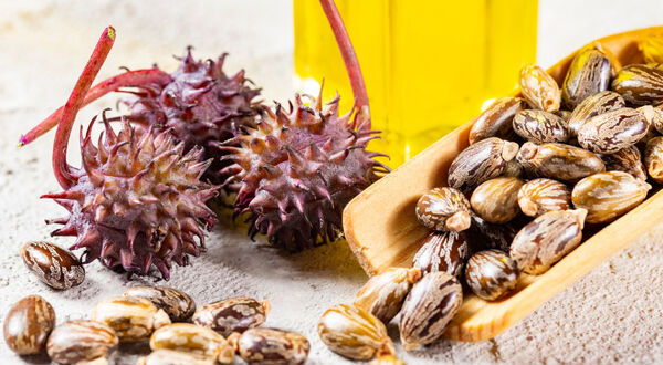 Arkema starts production of castor oil-based polyamide 11 in Singapore