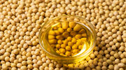 US soyabean oil usage in biofuel production set to rise by 17%