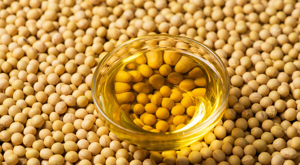 Chemists from St Petersburg State University create reusable catalyst to produce biodiesel from soyabean oil
