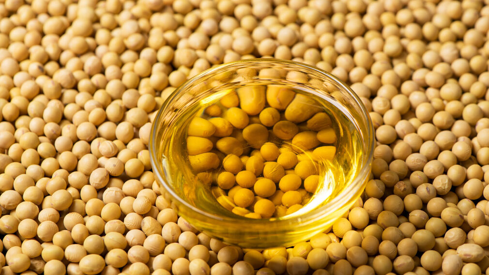 China is expected to maintain its status as a net exporter of soyabean oil for the second consecutive year. Image source: Adobe Stock