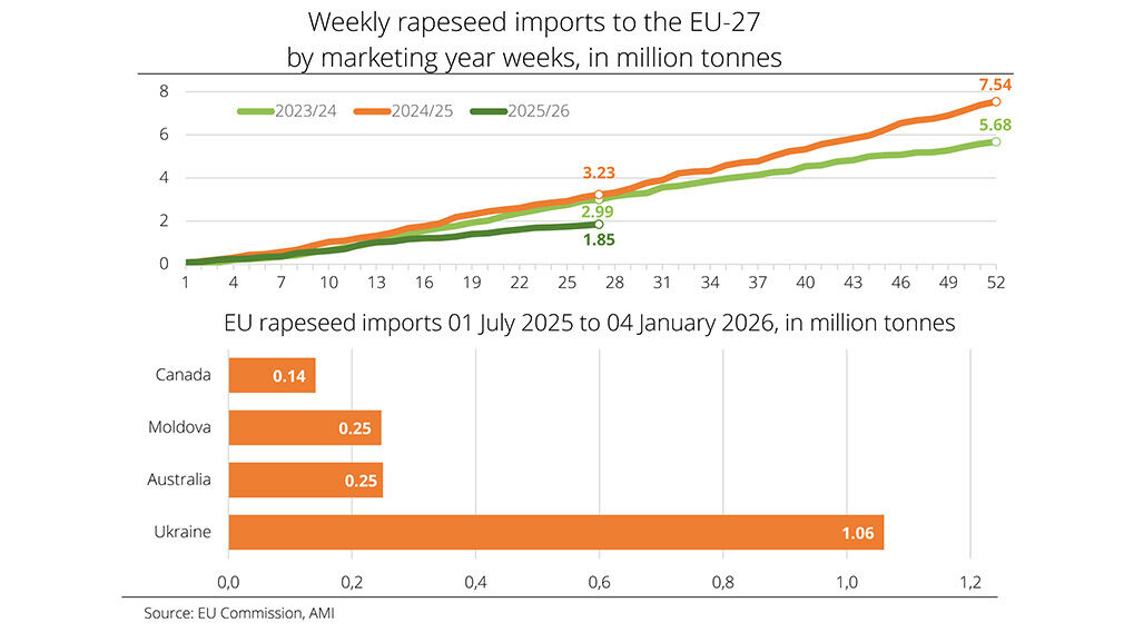 EU rapeseed imports declined in 2025. Image source: EU Commission/AMI