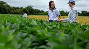 COFCO International and Standard Chartered close US$435M sustainability-linked loan