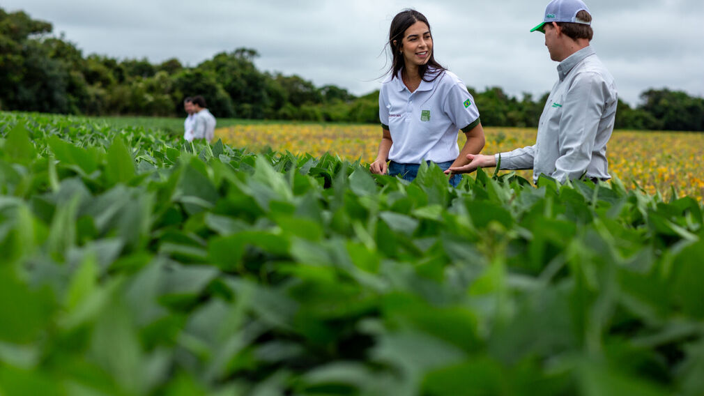 COFCO International and Standard Chartered have closed a US$435M sustainability-linked loan to support responsible agriculture supply chains in South America. Image source: COFCO International