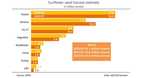 Argentina set for largest sunflowerseed harvest in almost three decades