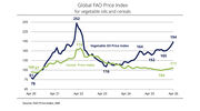 FAO Food Price Index up for third consecutive month mainly due to rising vegetable oil prices