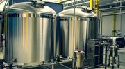 Ruby Bio plans to introduce fermentation-derived emulsifiers