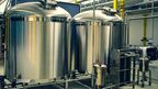 Ruby Bio plans to introduce fermentation-derived emulsifiers