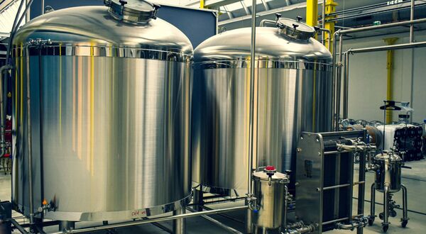 Ruby Bio plans to introduce fermentation-derived emulsifiers