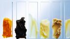 Neste, Goldwin, Idemitsu Kosan Co and Toray Industries establish supply chain for nylon fibre made from renewable materials
