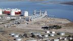 LDC to build new sunflower and soyabean processing plant in Bahía Blanca, Argentina