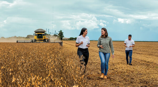 COFCO achieves 23% and 11% reductions in Scope 3 emissions for corn and soyabean