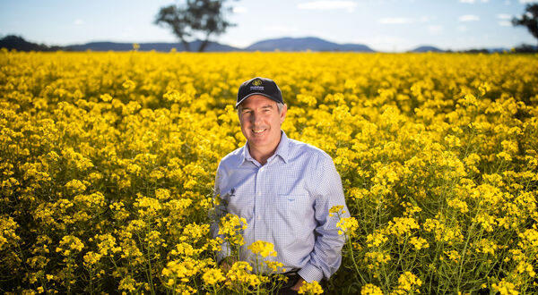 GrainCorp outlines pathway for Australia’s SAF future