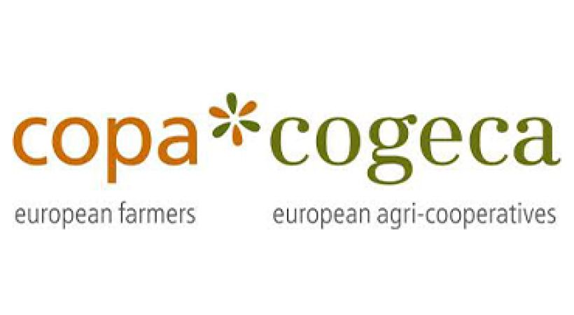 Copa-Cogeca calls on EC to tackle COVID-19 effects on protein plant market