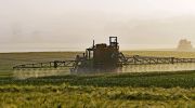 New report concludes glyphosate herbicide is not carcinogenic