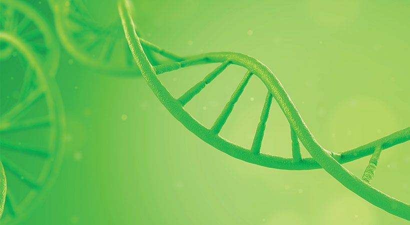 UK to launch consultation on gene editing