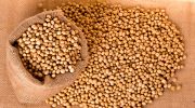 LDC opens soyabean liquid lecithin plant in Indiana
