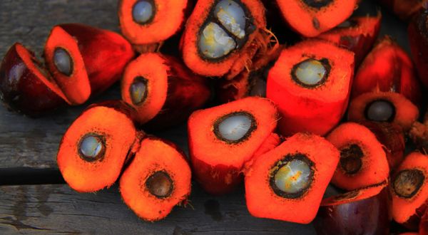 China Covid lockdowns overshadow palm oil outlook