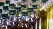 Study shows one-third of global olive oil production comes from intensive farming